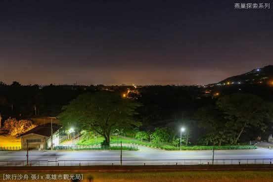 夜裡從長堤俯瞰的公園燈光