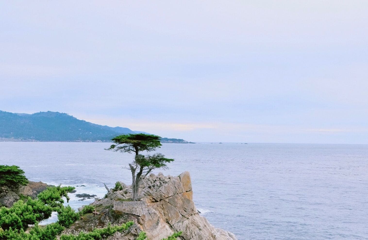 加州17英里路｜孤獨柏樹與圓石灘海岸景觀－也有獨自佇立於懸崖上，那棵最著名的「孤獨柏樹」。它的形單影隻，往往造成岸上遊客如織。