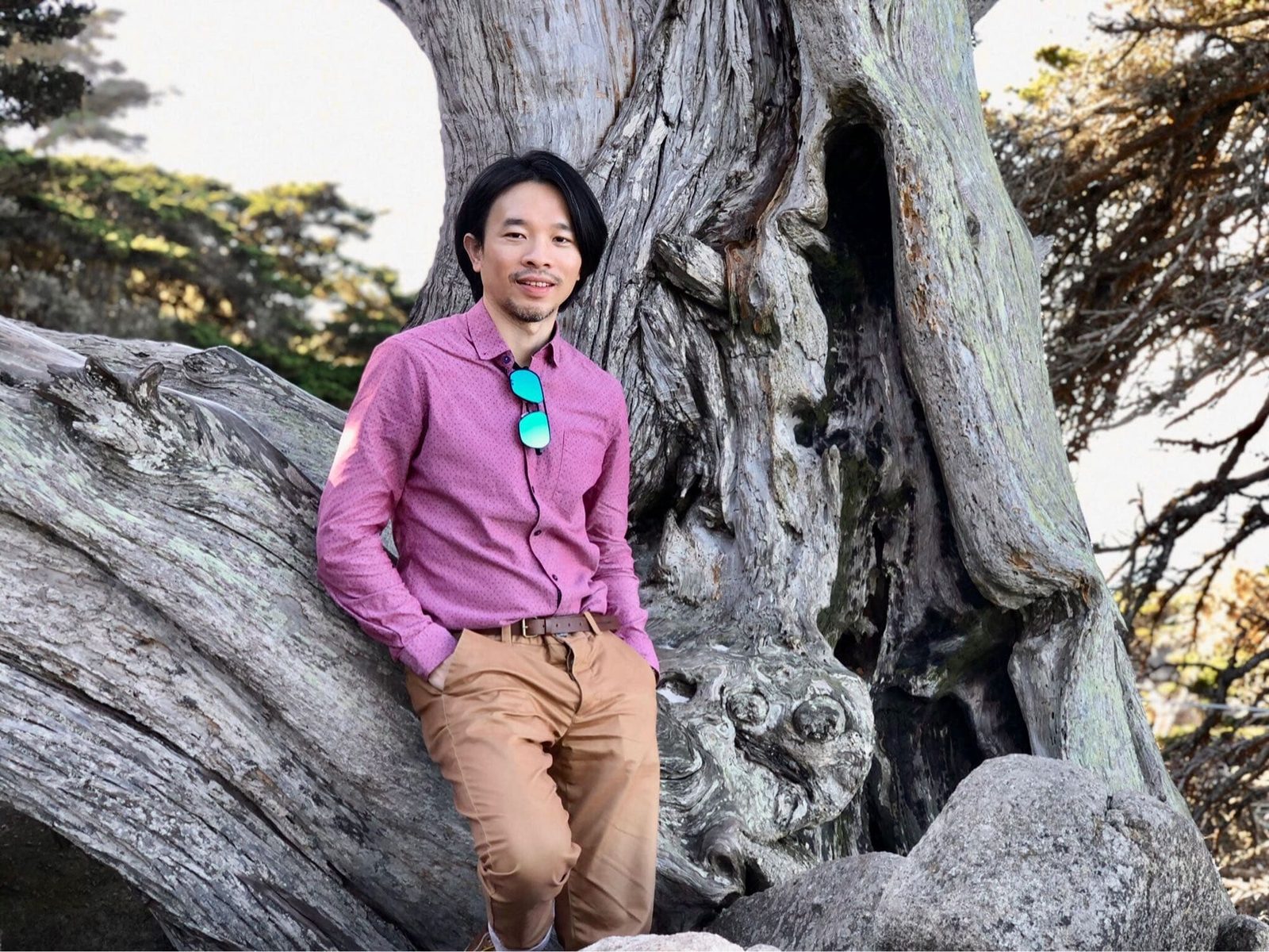 加州大索爾羅伯士角|走進超現實海岸山水畫-和乾掉的大柏樹來一張近照,樹洞跟我一樣大。