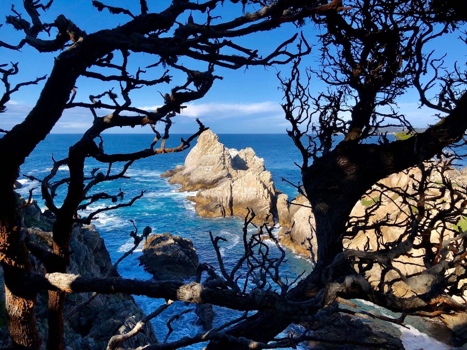 加州大索爾羅伯士角|走進超現實海岸山水畫-極具生命力動感的畫面。