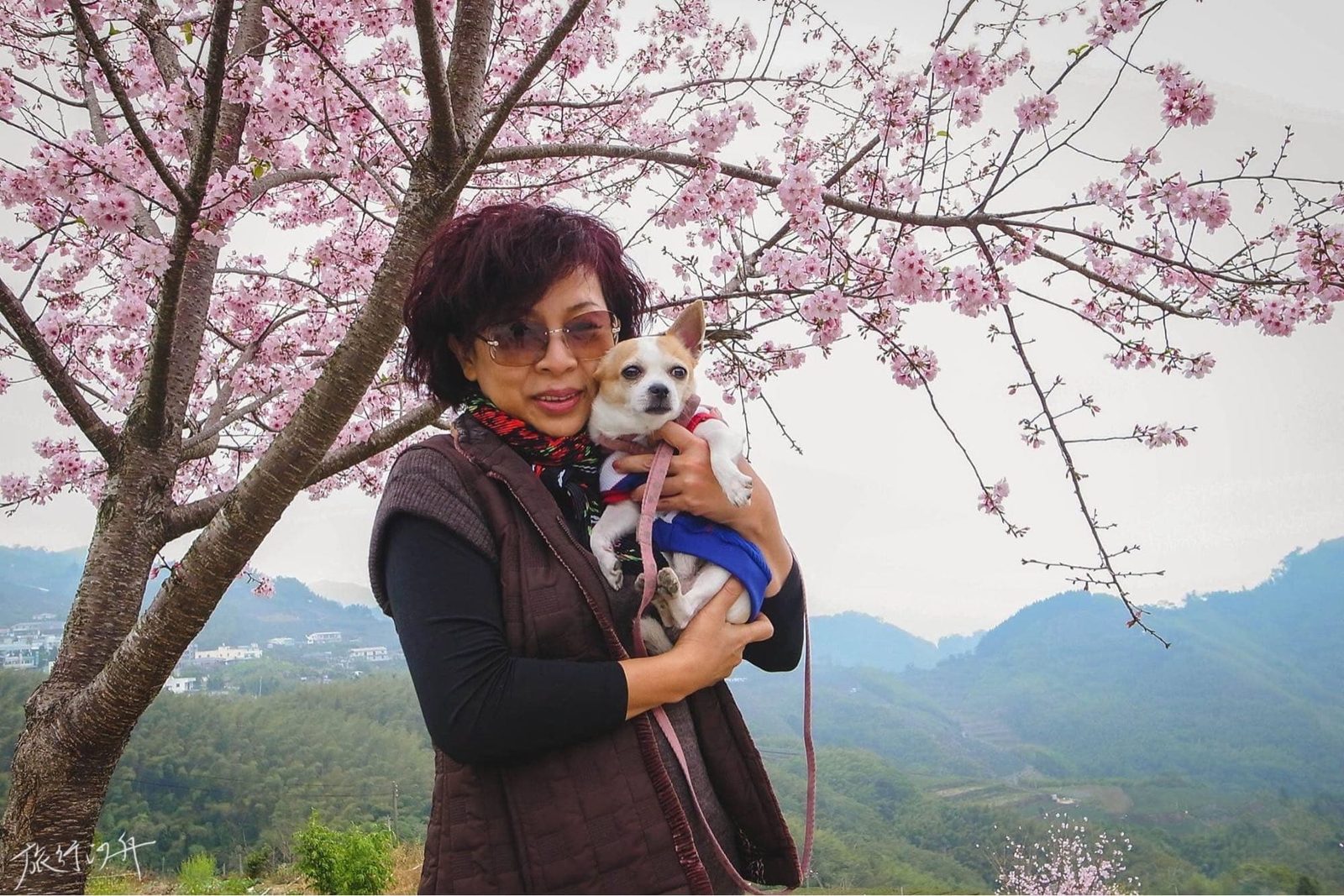 媽媽的家庭生存術｜如何讓吵鬧兄妹瞬間安靜－媽媽是家庭主婦，一手帶大我和妹妹，過程中充滿了歡笑與血淚，今天，因應Dcard的「家庭生存之道」主題活動，我就來說說母親的機智趣事。 哥哥有…