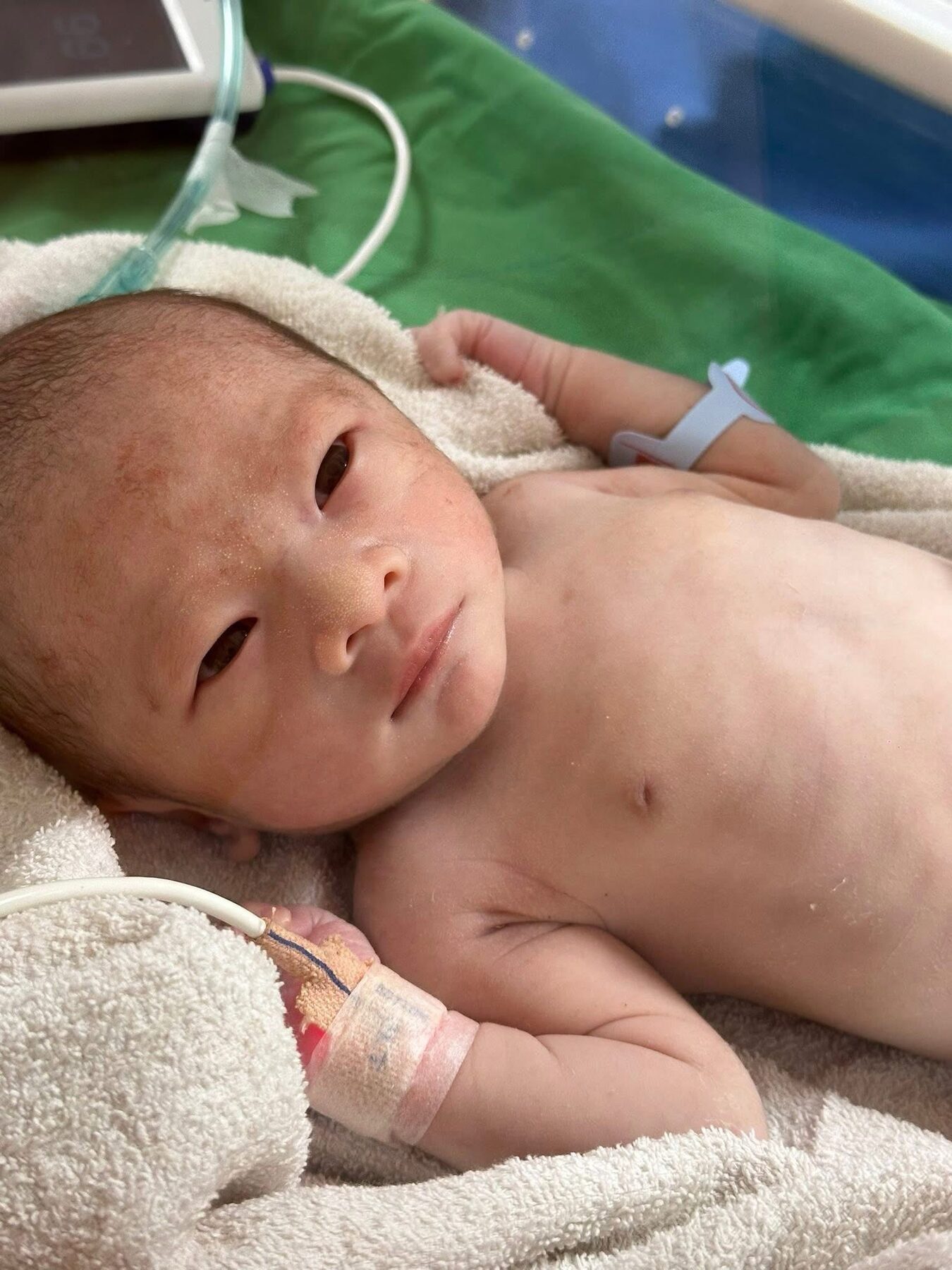 剛出生時長得像爸爸的嬰兒